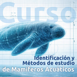 Curso de identificación y métodos de estudio de mamíferos acuáticos